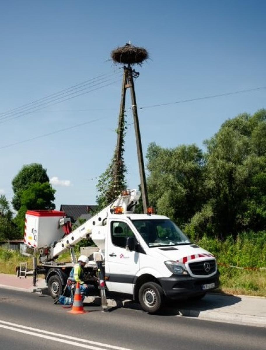 Zdjęcie w galerii na portalu naszraciborz.pl: TAURON podsumowuje obrączkowanie bocianów wiadomości z regionu