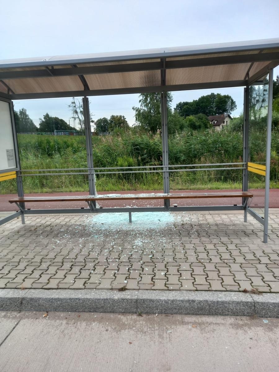 Zdjęcie w galerii na portalu naszraciborz.pl: Ustalono sprawcę dewastacji wiat w gm. Kornowac. Strzelał z wiatrówki wiadomości z regionu