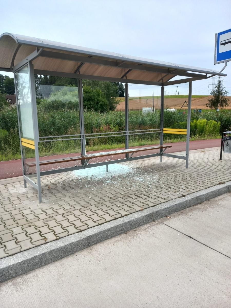 Zdjęcie w galerii na portalu naszraciborz.pl: Ustalono sprawcę dewastacji wiat w gm. Kornowac. Strzelał z wiatrówki wiadomości z regionu