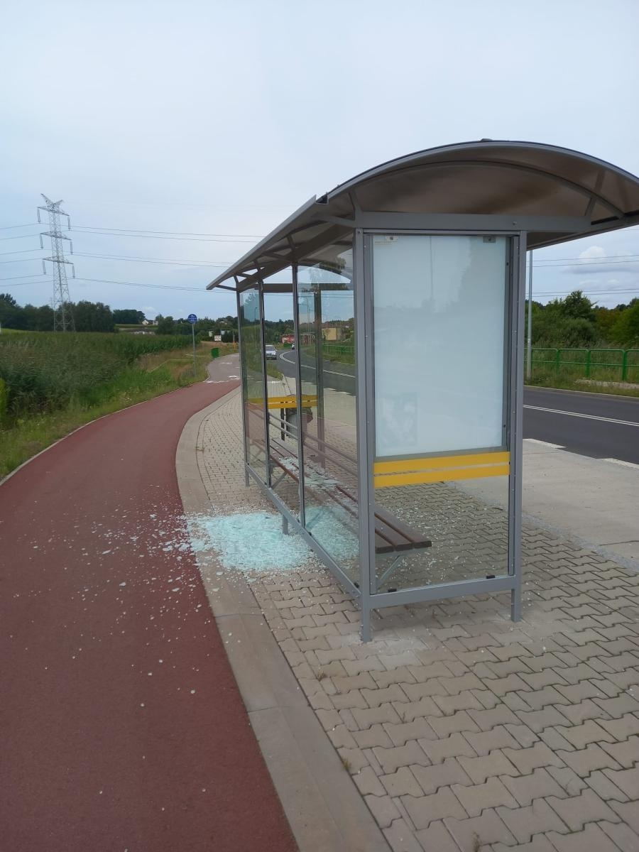 Zdjęcie w galerii na portalu naszraciborz.pl: Ustalono sprawcę dewastacji wiat w gm. Kornowac. Strzelał z wiatrówki wiadomości z regionu