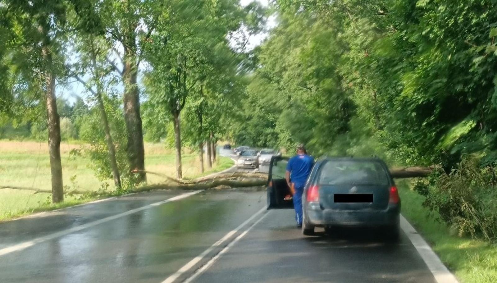 Zdjęcie w galerii na portalu naszraciborz.pl: Raport 998. Powalone drzewo i kolizja wiadomości z regionu