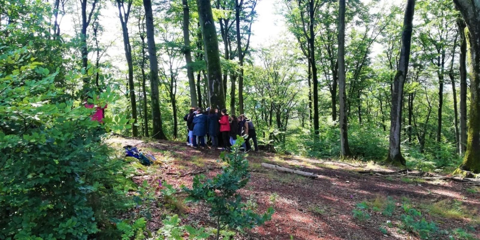 Zdjęcie w galerii na portalu naszraciborz.pl: Młodzież z trzech partnerskich powiatów zgłębiała relację człowiek-las wiadomości z regionu