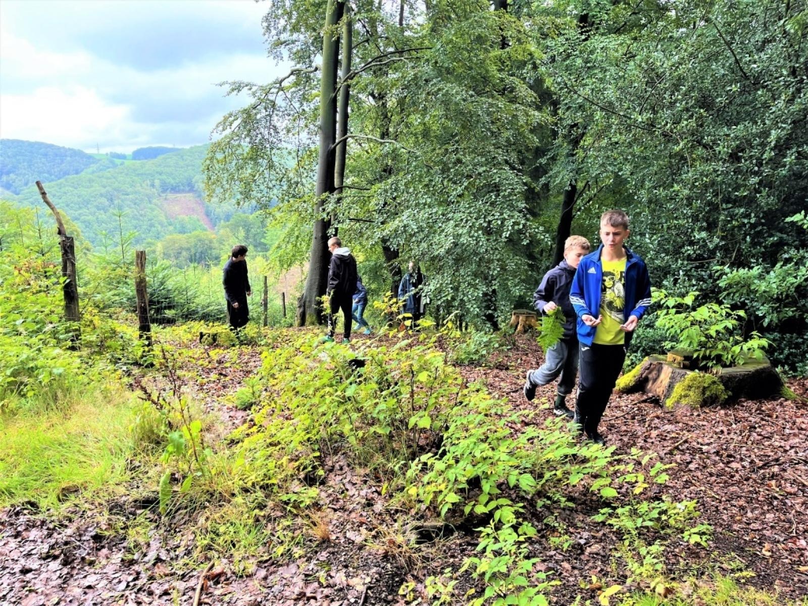 Zdjęcie w galerii na portalu naszraciborz.pl: Młodzież z trzech partnerskich powiatów zgłębiała relację człowiek-las wiadomości z regionu