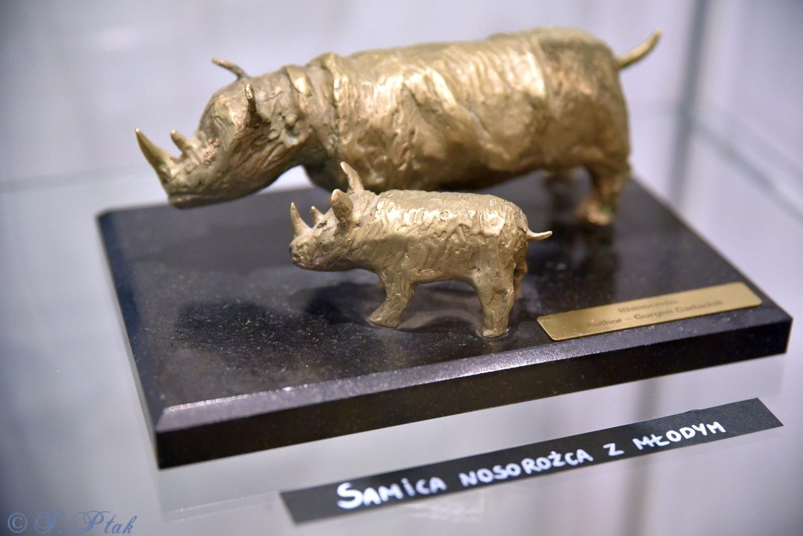 Zdjęcie w galerii na portalu naszraciborz.pl: Misterne kształty z wyobraźni Gurgena Gadachika [FOTO] wiadomości z regionu