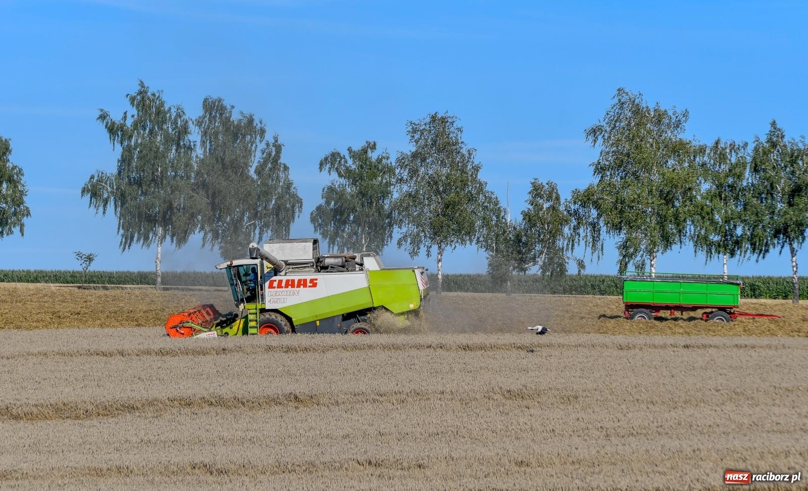 Zdjęcie w galerii na portalu naszraciborz.pl: Pietraszyn pokonał Krzanowice w debiucie w A klasie [FOTO] wiadomości z regionu