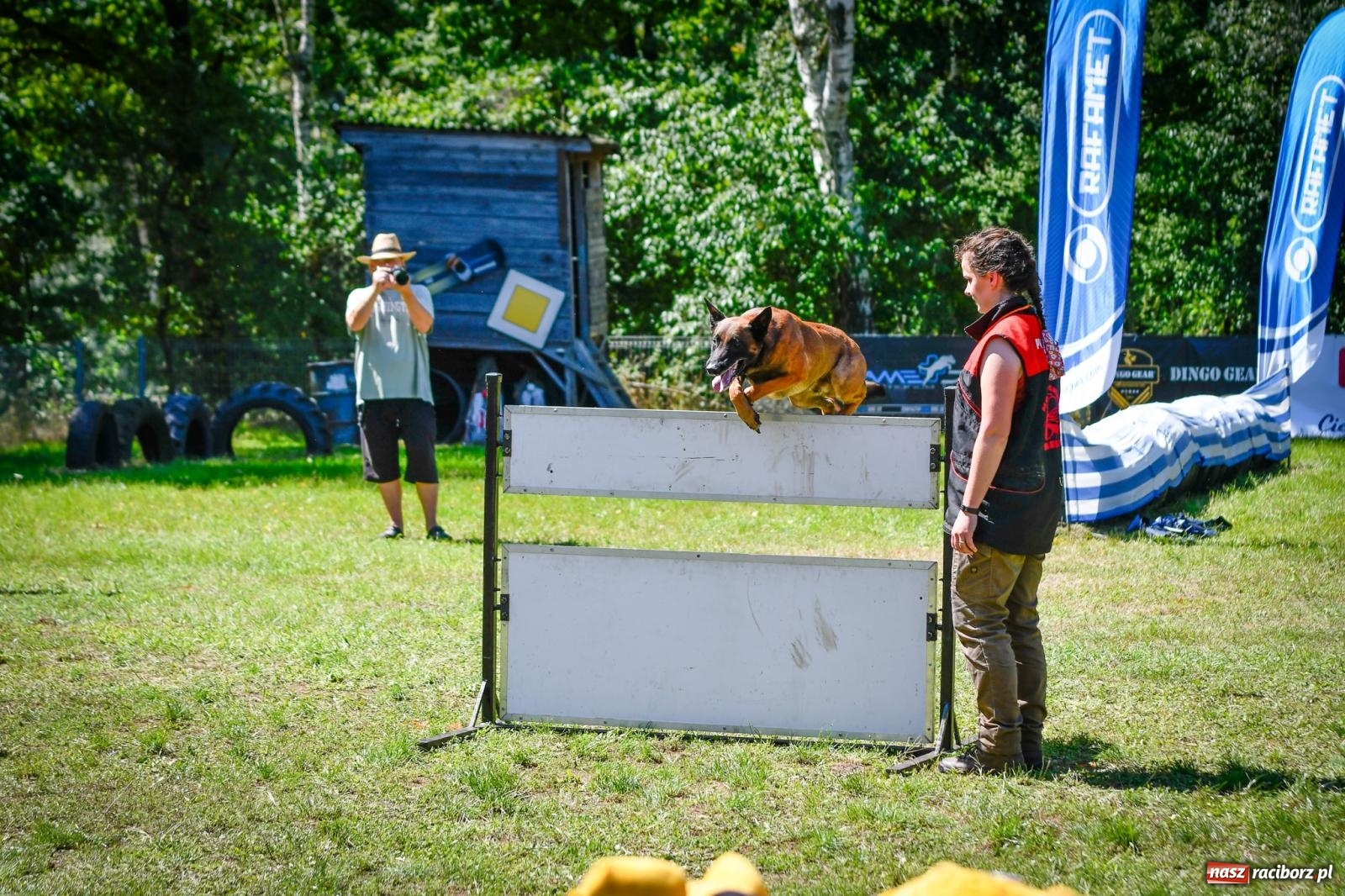 Zdjęcie w galerii na portalu naszraciborz.pl: Piknik Militarny K9. Hodowcy psów zjechali do Babic wiadomości z regionu