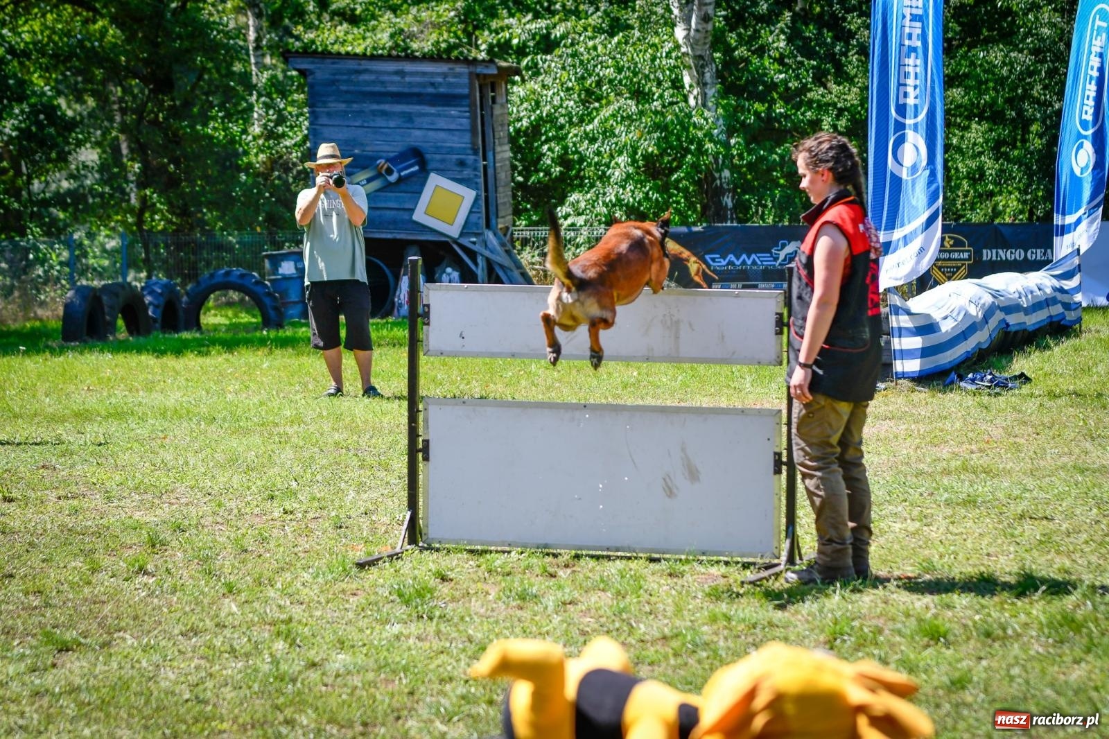 Zdjęcie w galerii na portalu naszraciborz.pl: Piknik Militarny K9. Hodowcy psów zjechali do Babic wiadomości z regionu