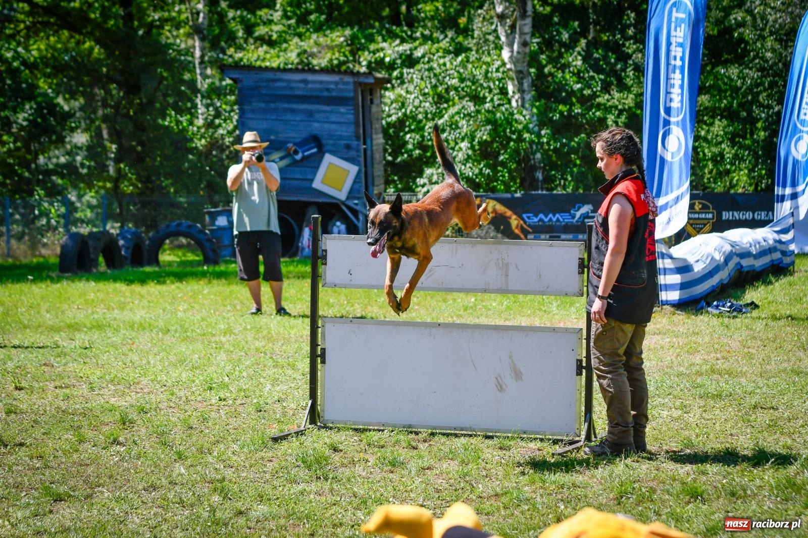 Zdjęcie w galerii na portalu naszraciborz.pl: Piknik Militarny K9. Hodowcy psów zjechali do Babic wiadomości z regionu