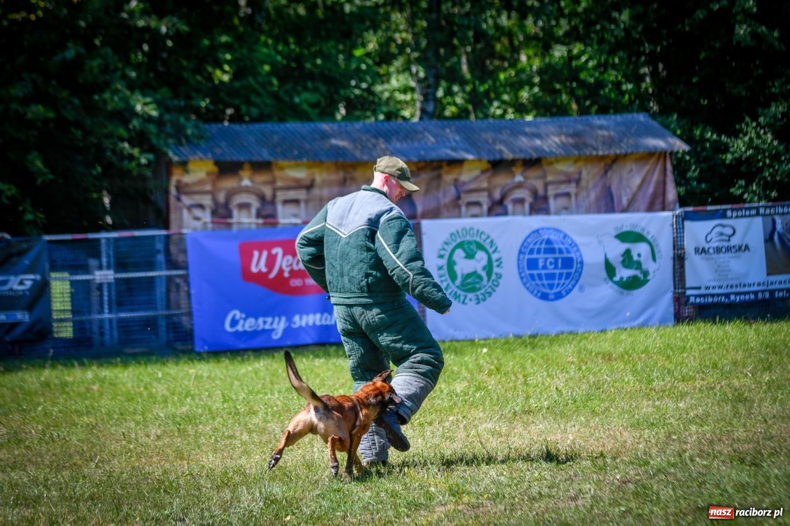 Zdjęcie w galerii na portalu naszraciborz.pl: Piknik Militarny K9. Hodowcy psów zjechali do Babic wiadomości z regionu