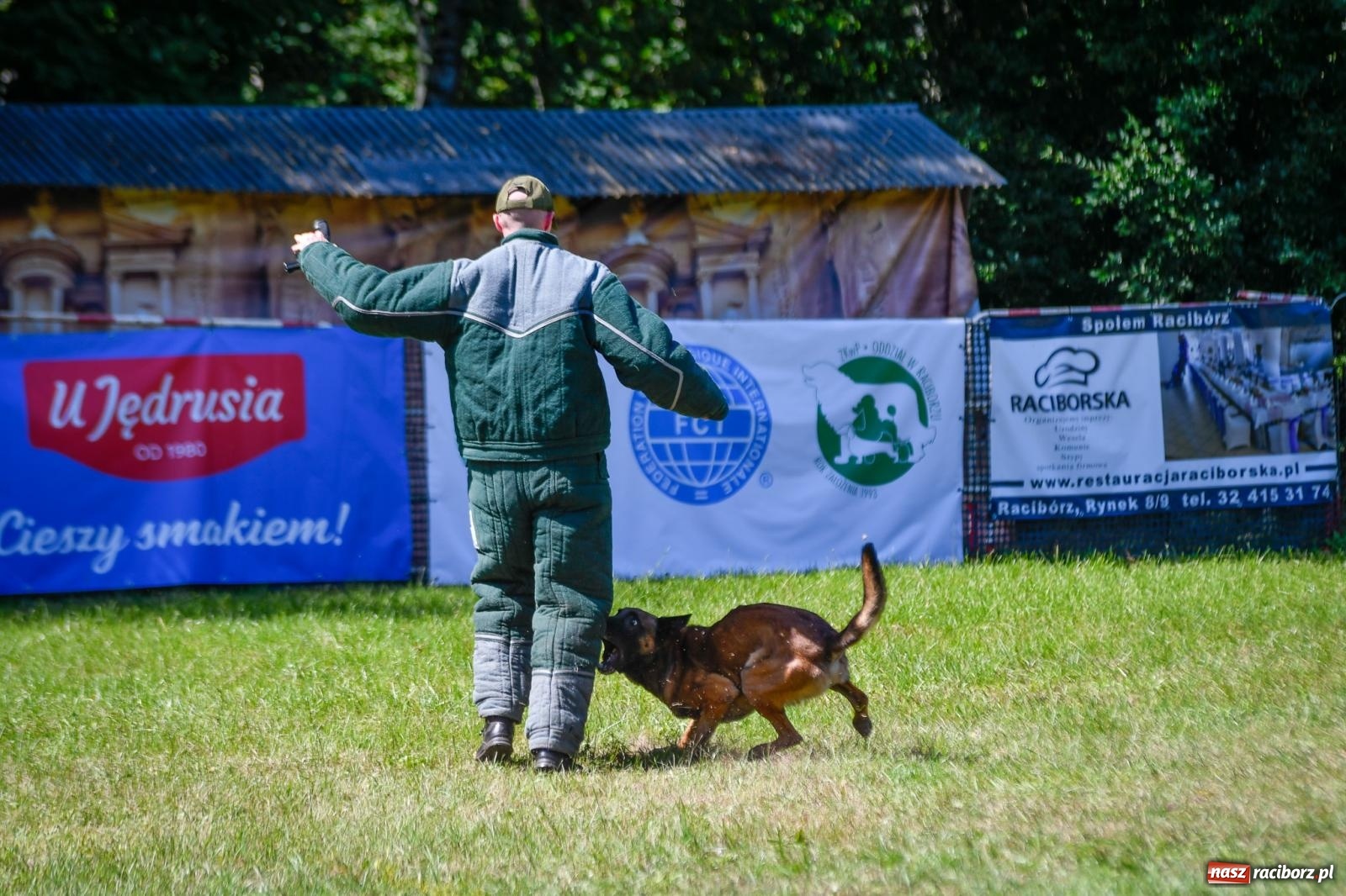 Zdjęcie w galerii na portalu naszraciborz.pl: Piknik Militarny K9. Hodowcy psów zjechali do Babic wiadomości z regionu