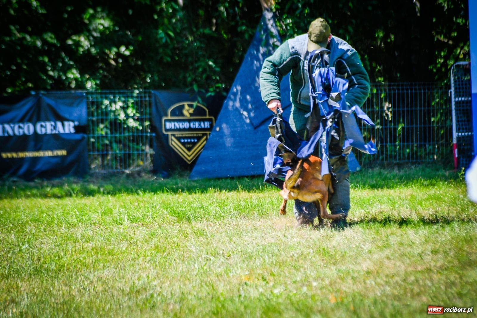 Zdjęcie w galerii na portalu naszraciborz.pl: Piknik Militarny K9. Hodowcy psów zjechali do Babic wiadomości z regionu