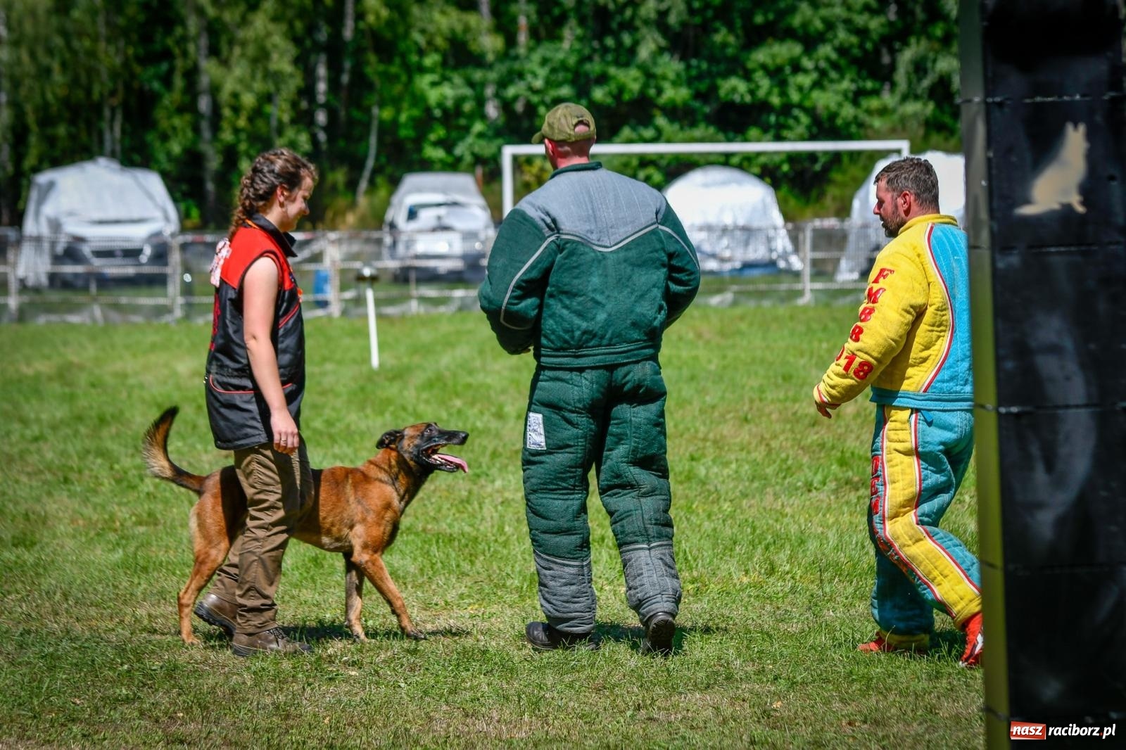 Zdjęcie w galerii na portalu naszraciborz.pl: Piknik Militarny K9. Hodowcy psów zjechali do Babic wiadomości z regionu