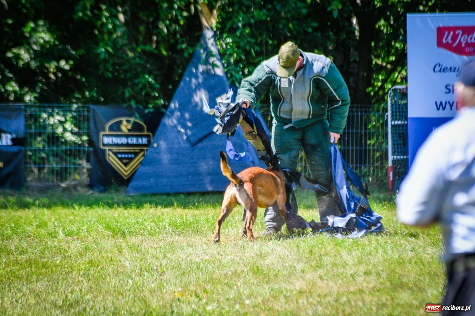 Zdjęcie w galerii na portalu naszraciborz.pl: Piknik Militarny K9. Hodowcy psów zjechali do Babic wiadomości z regionu