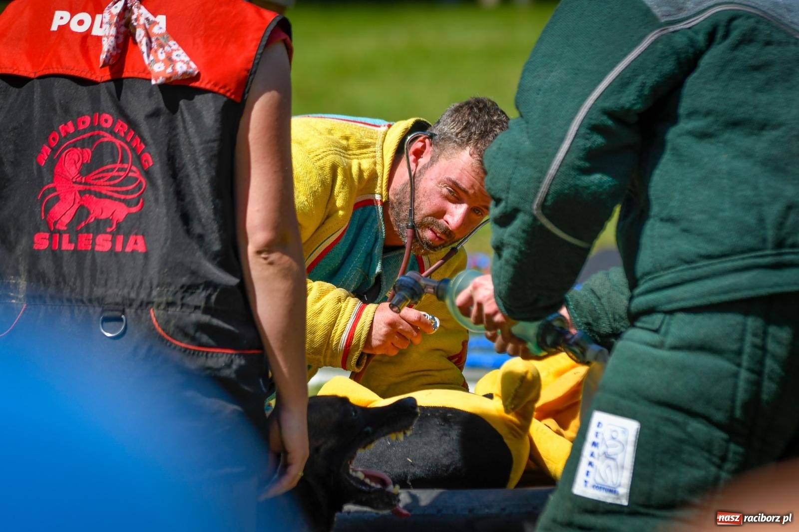 Zdjęcie w galerii na portalu naszraciborz.pl: Piknik Militarny K9. Hodowcy psów zjechali do Babic wiadomości z regionu