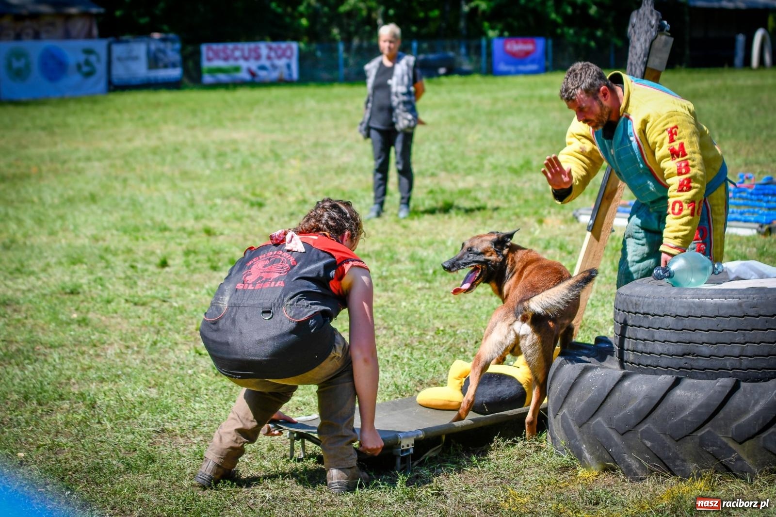 Zdjęcie w galerii na portalu naszraciborz.pl: Piknik Militarny K9. Hodowcy psów zjechali do Babic wiadomości z regionu