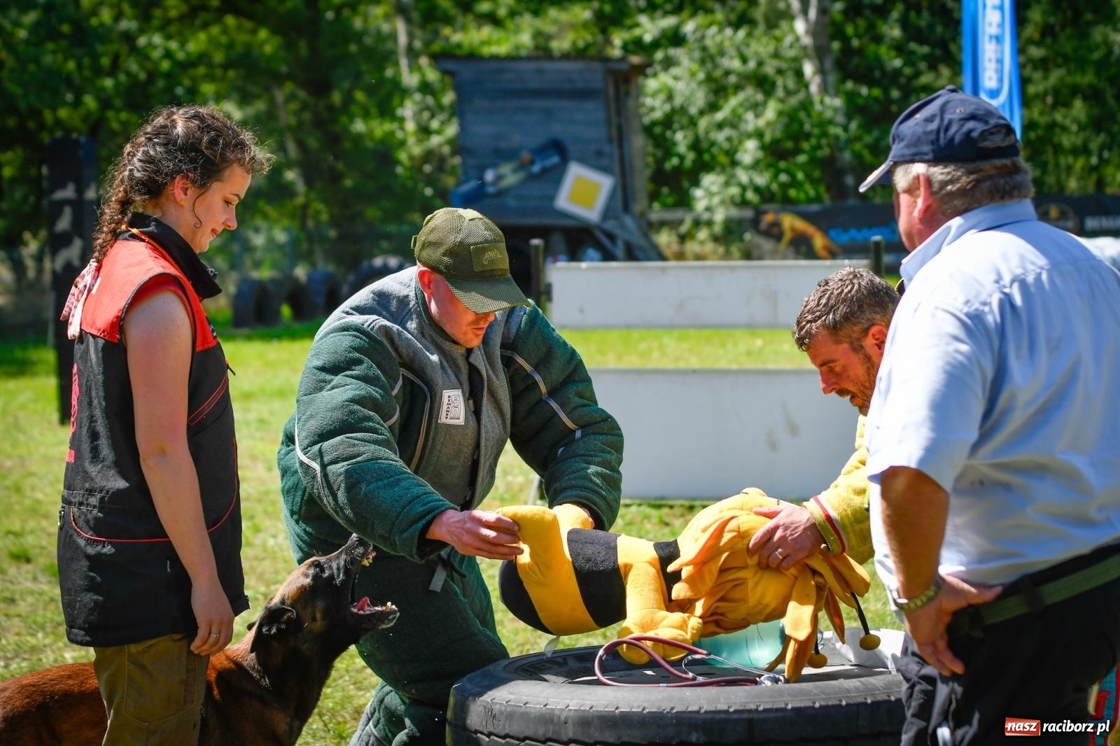 Zdjęcie w galerii na portalu naszraciborz.pl: Piknik Militarny K9. Hodowcy psów zjechali do Babic wiadomości z regionu
