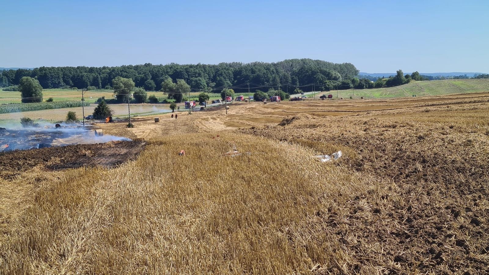 Zdjęcie w galerii na portalu naszraciborz.pl: Dym nad Borucinem. Tak doszło do pożaru [WIDEO] wiadomości z regionu
