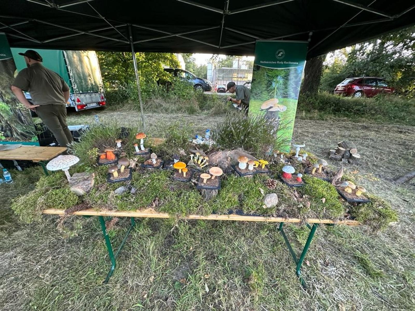 Zdjęcie w galerii na portalu naszraciborz.pl: Tłumy na pikniku mundurowych w Rudach [FOTO] wiadomości z regionu