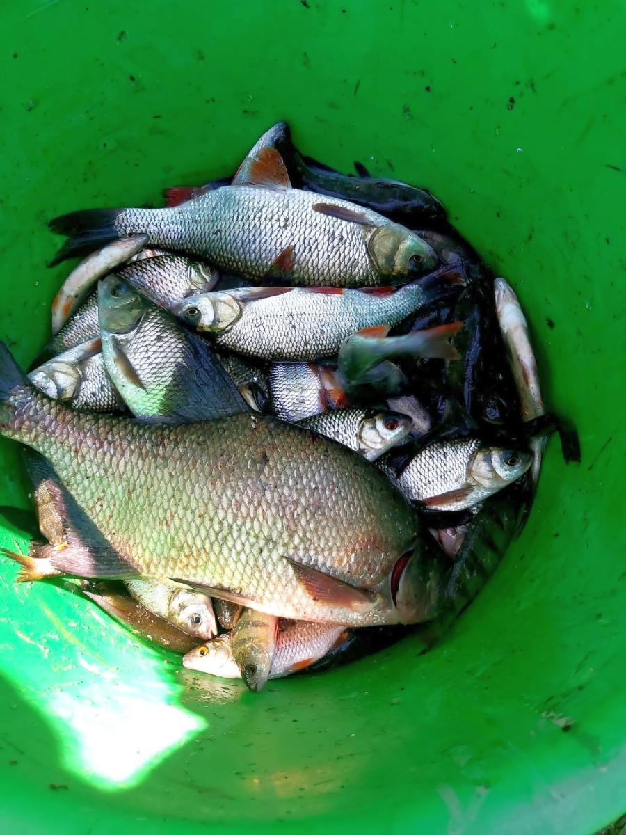 Zdjęcie w galerii na portalu naszraciborz.pl: Zawody wędkarskie ODRA 2023 za nami wiadomości z regionu