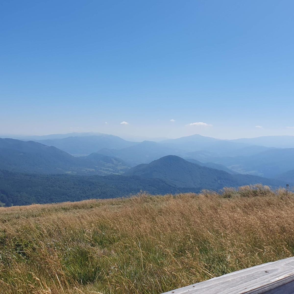 Zdjęcie w galerii na portalu naszraciborz.pl: Tarnica zaliczona. Kolejny szczyt na szlaku strażaków propagujących dawstwo szpiku wiadomości z regionu