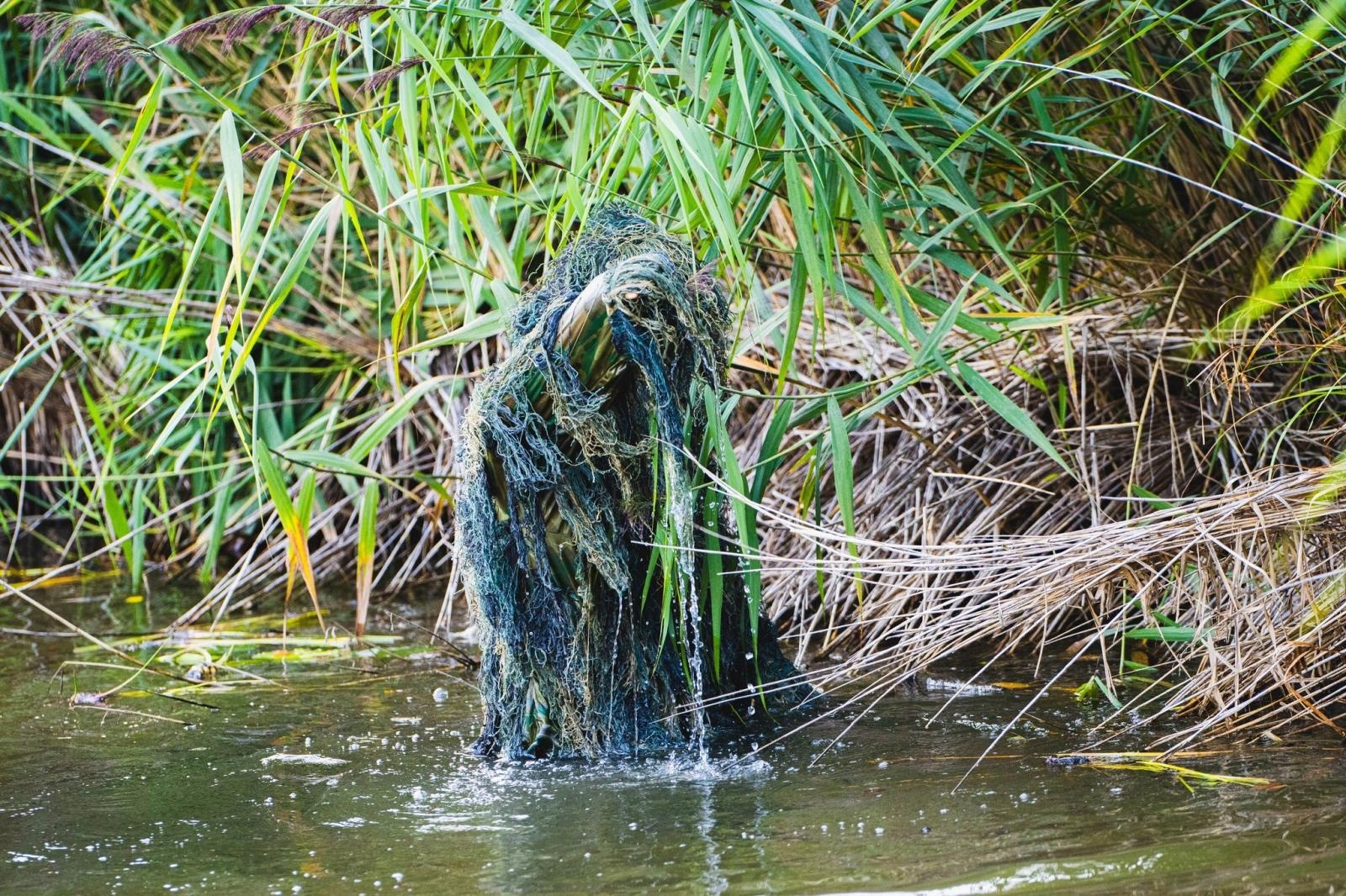 Zdjęcie w galerii na portalu naszraciborz.pl: Moc atrakcji na otwarcie wodzisławskiego Balatonu [FOTO] wiadomości z regionu