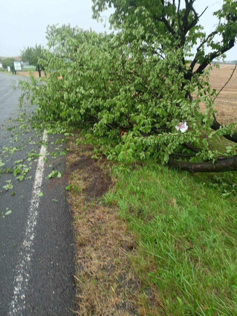 Zdjęcie w galerii na portalu naszraciborz.pl: Raport 998. Zerwany dach w Bieńkowicach. Powalone drzewa na drogach [FOTO] wiadomości z regionu