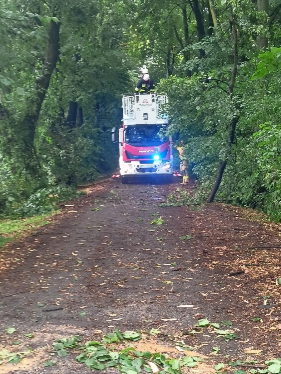 Zdjęcie w galerii na portalu naszraciborz.pl: Raport 998. Zerwany dach w Bieńkowicach. Powalone drzewa na drogach [FOTO] wiadomości z regionu