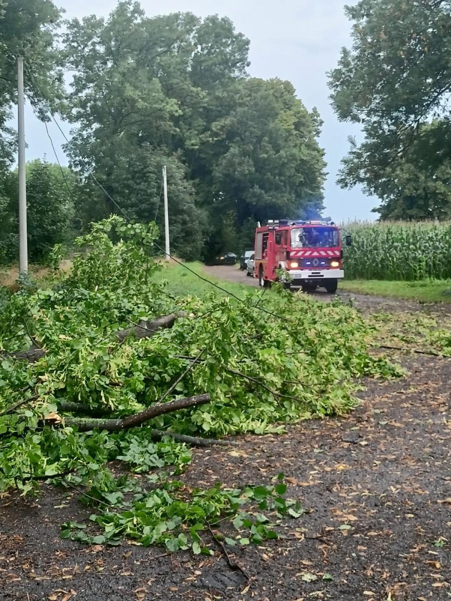Zdjęcie w galerii na portalu naszraciborz.pl: Raport 998. Zerwany dach w Bieńkowicach. Powalone drzewa na drogach [FOTO] wiadomości z regionu