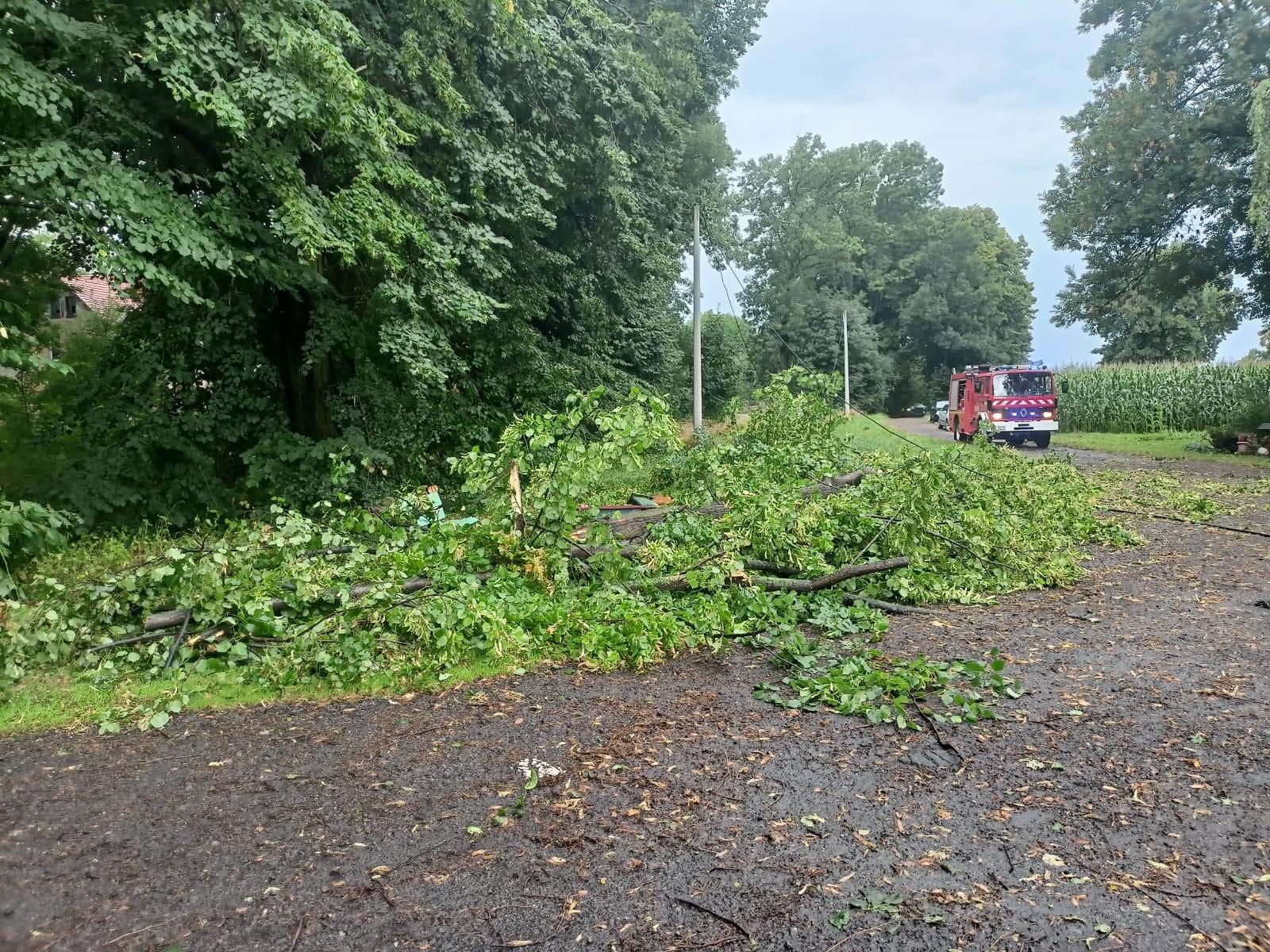 Zdjęcie w galerii na portalu naszraciborz.pl: Raport 998. Zerwany dach w Bieńkowicach. Powalone drzewa na drogach [FOTO] wiadomości z regionu