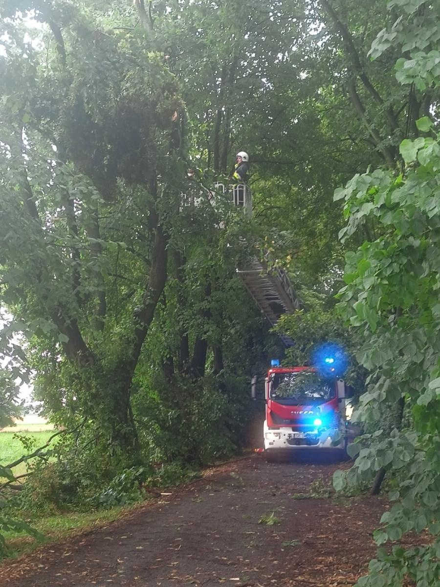 Zdjęcie w galerii na portalu naszraciborz.pl: Raport 998. Zerwany dach w Bieńkowicach. Powalone drzewa na drogach [FOTO] wiadomości z regionu