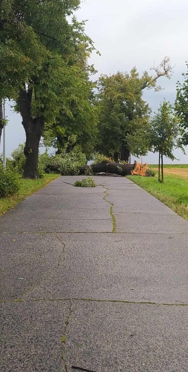 Zdjęcie w galerii na portalu naszraciborz.pl: Raport 998. Zerwany dach w Bieńkowicach. Powalone drzewa na drogach [FOTO] wiadomości z regionu