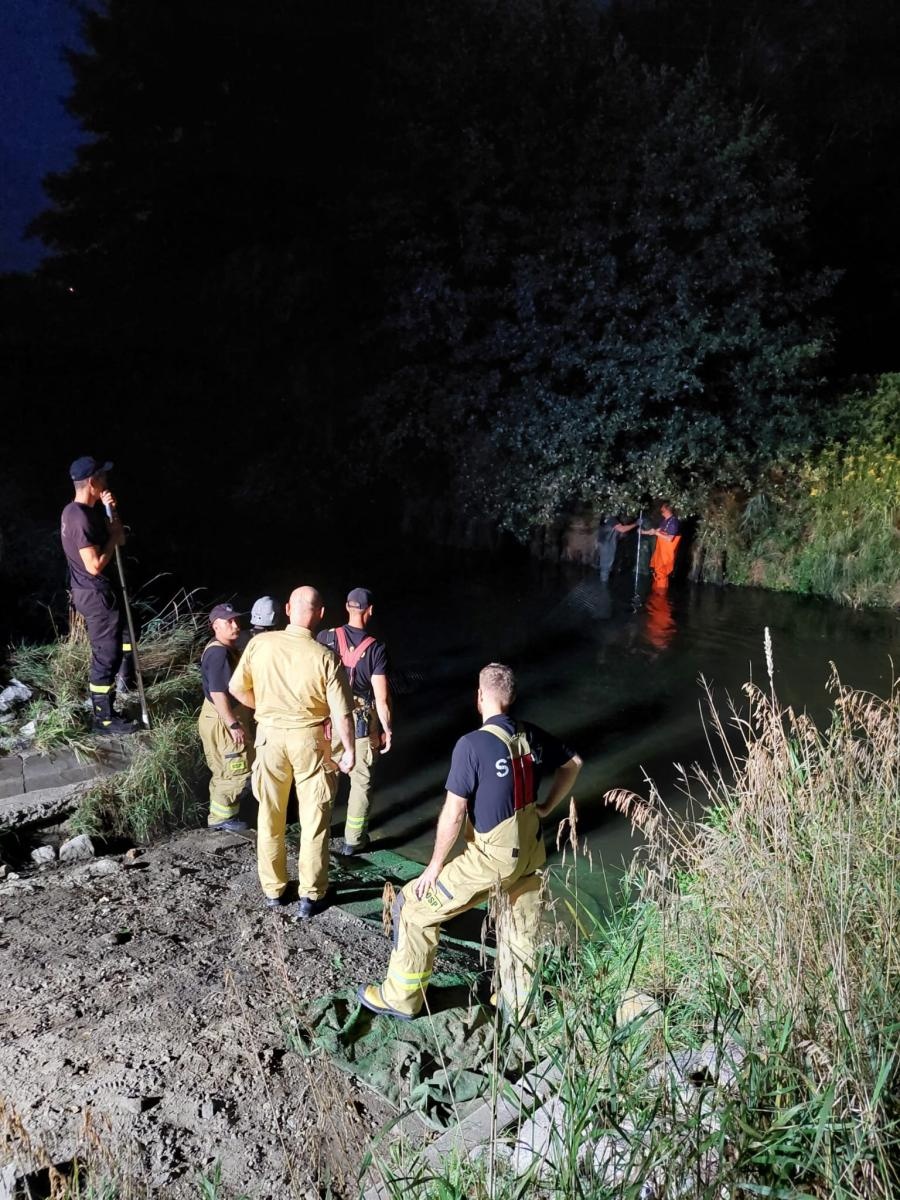 Zdjęcie w galerii na portalu naszraciborz.pl: Śnięte ryby w Rudzie. Strażacy ustawili zaporę w Rudach wiadomości z regionu