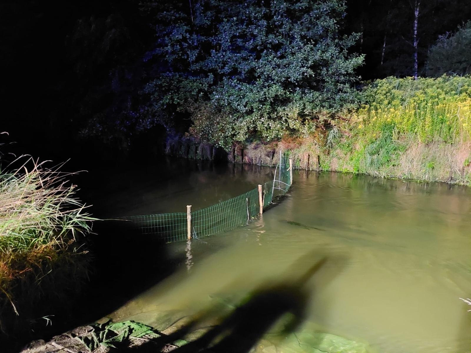 Zdjęcie w galerii na portalu naszraciborz.pl: Śnięte ryby w Rudzie. Strażacy ustawili zaporę w Rudach wiadomości z regionu