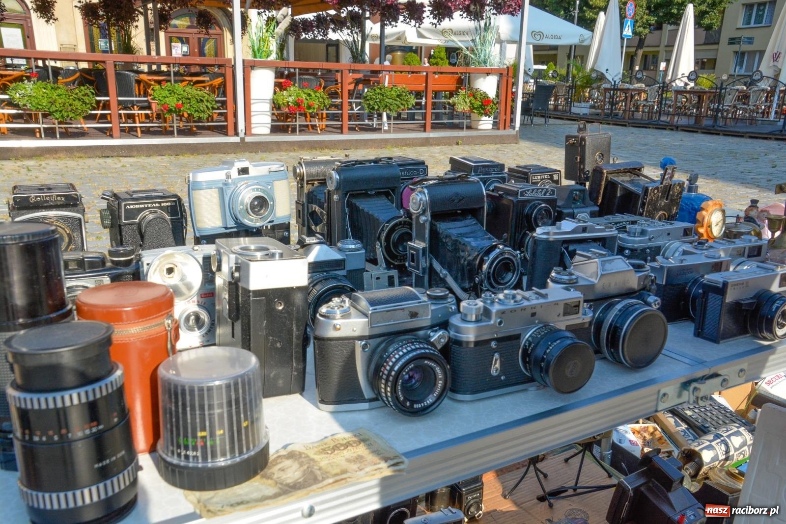 Zdjęcie w galerii na portalu naszraciborz.pl: Kupię młode panny, każdą ilość. Starocie i antyki przeniosły się na Rynek [FOTO i WIDEO] wiadomości z regionu