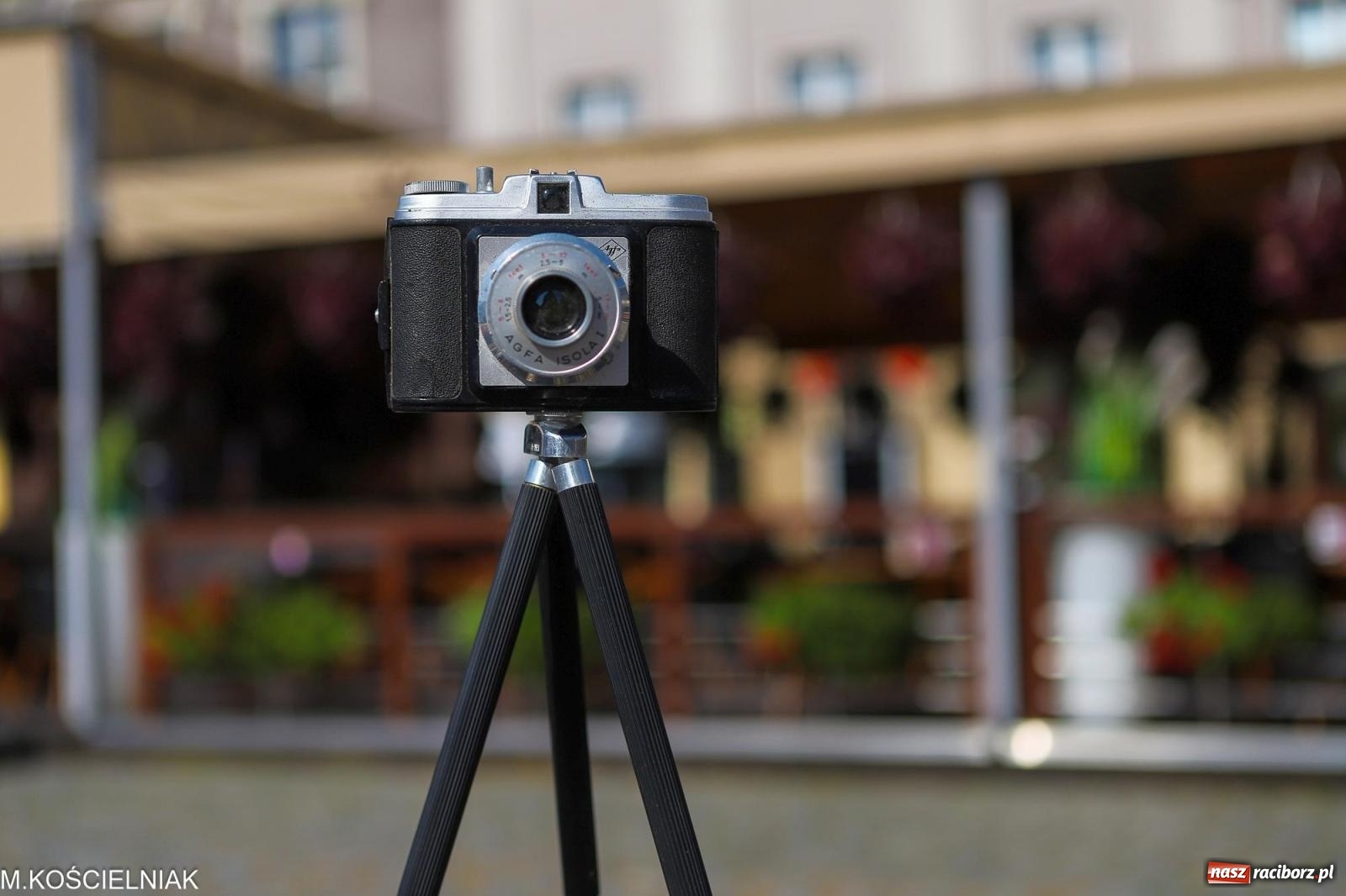 Zdjęcie w galerii na portalu naszraciborz.pl: Kupię młode panny, każdą ilość. Starocie i antyki przeniosły się na Rynek [FOTO i WIDEO] wiadomości z regionu