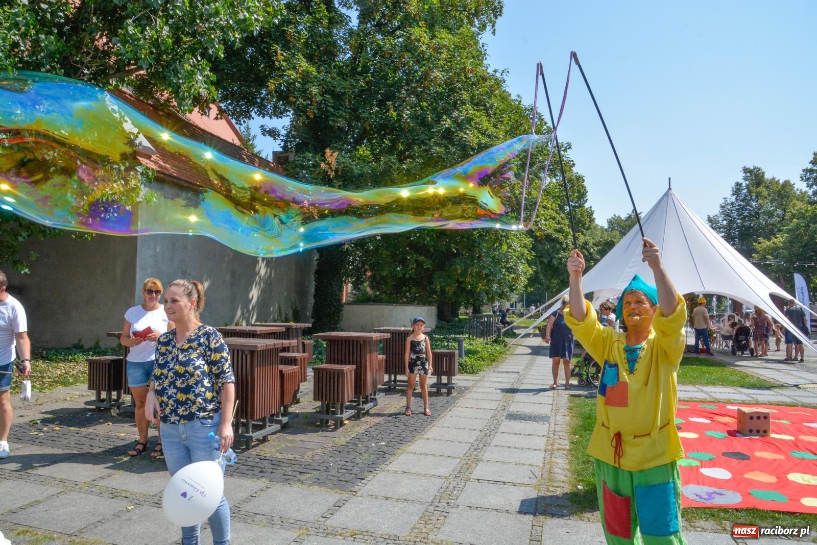 Zdjęcie w galerii na portalu naszraciborz.pl: Gramy i sadzimy. Festiwal Jabłonki Swawole w Raciborzu wiadomości z regionu