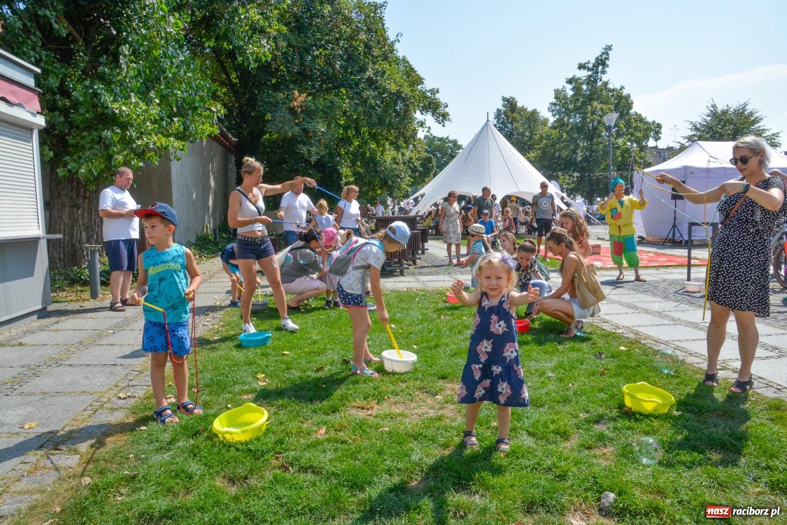 Zdjęcie w galerii na portalu naszraciborz.pl: Gramy i sadzimy. Festiwal Jabłonki Swawole w Raciborzu wiadomości z regionu