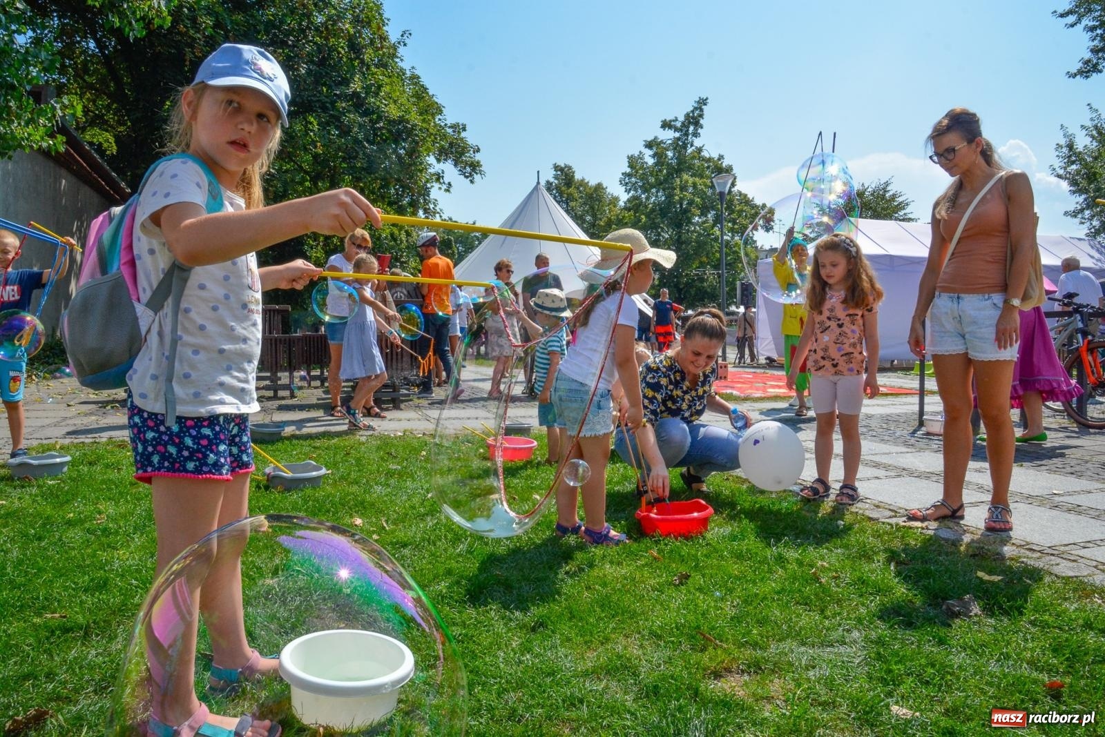 Zdjęcie w galerii na portalu naszraciborz.pl: Gramy i sadzimy. Festiwal Jabłonki Swawole w Raciborzu wiadomości z regionu