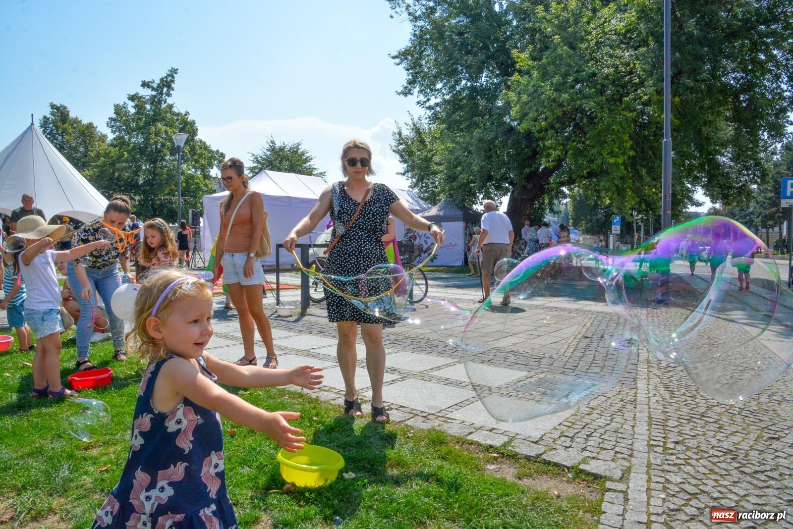 Zdjęcie w galerii na portalu naszraciborz.pl: Gramy i sadzimy. Festiwal Jabłonki Swawole w Raciborzu wiadomości z regionu