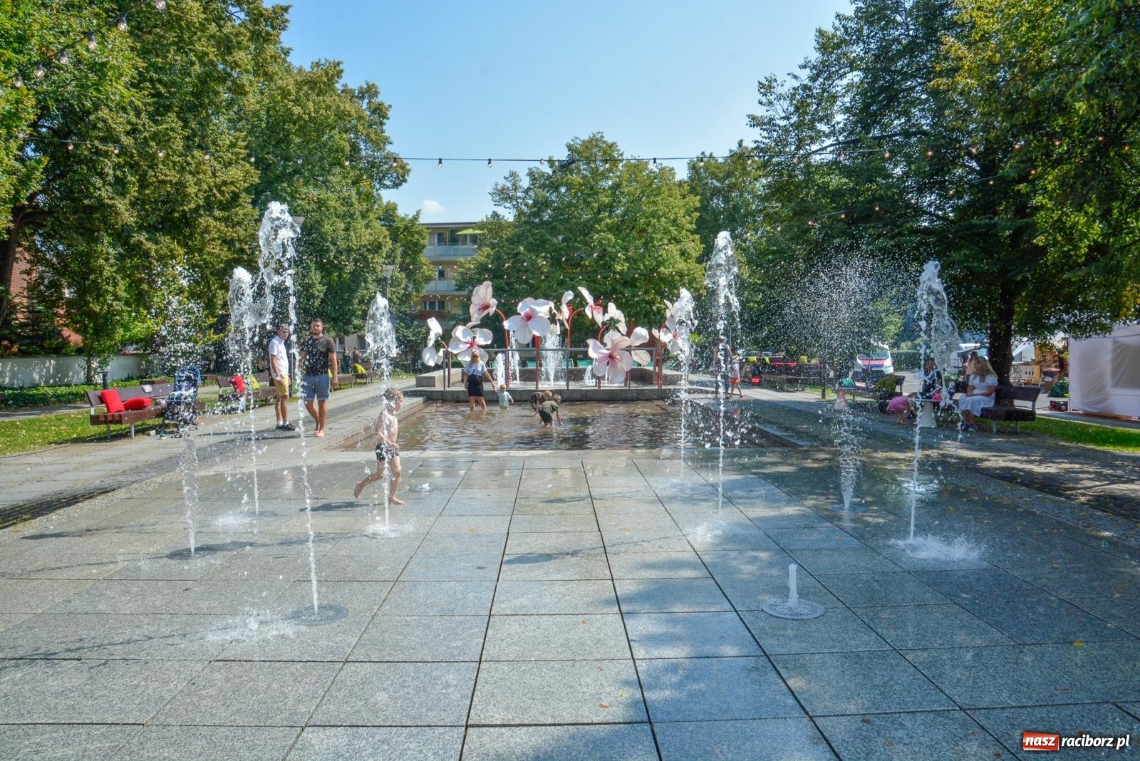 Zdjęcie w galerii na portalu naszraciborz.pl: Gramy i sadzimy. Festiwal Jabłonki Swawole w Raciborzu wiadomości z regionu