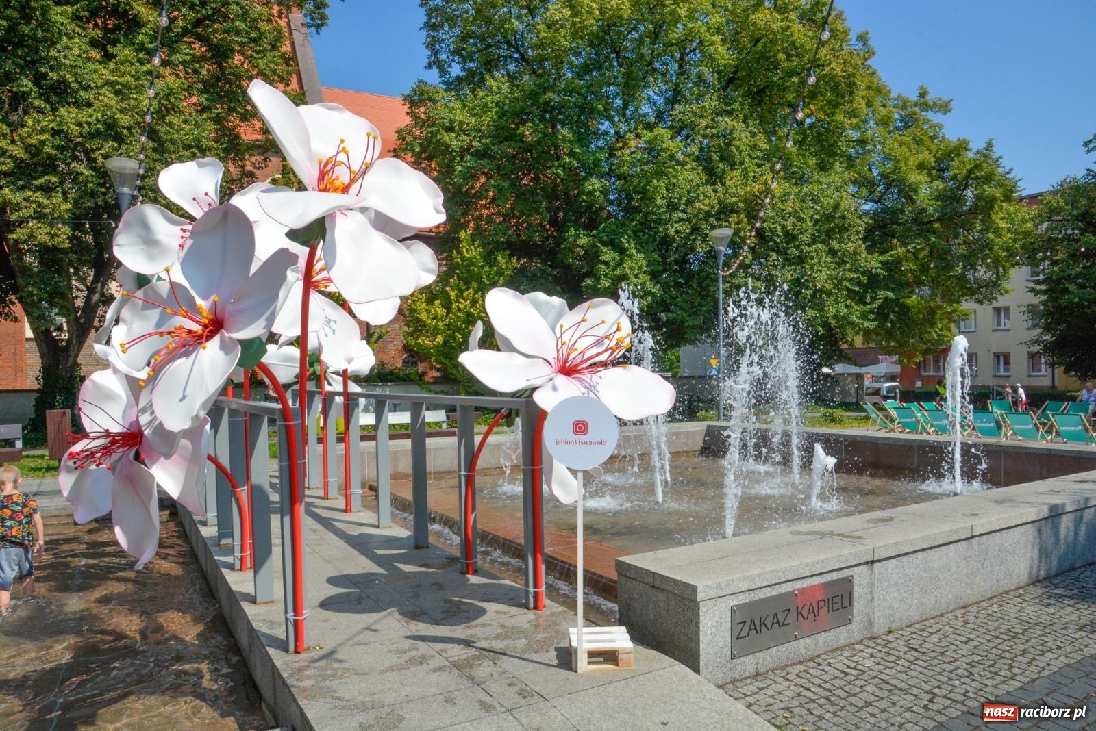 Zdjęcie w galerii na portalu naszraciborz.pl: Gramy i sadzimy. Festiwal Jabłonki Swawole w Raciborzu wiadomości z regionu
