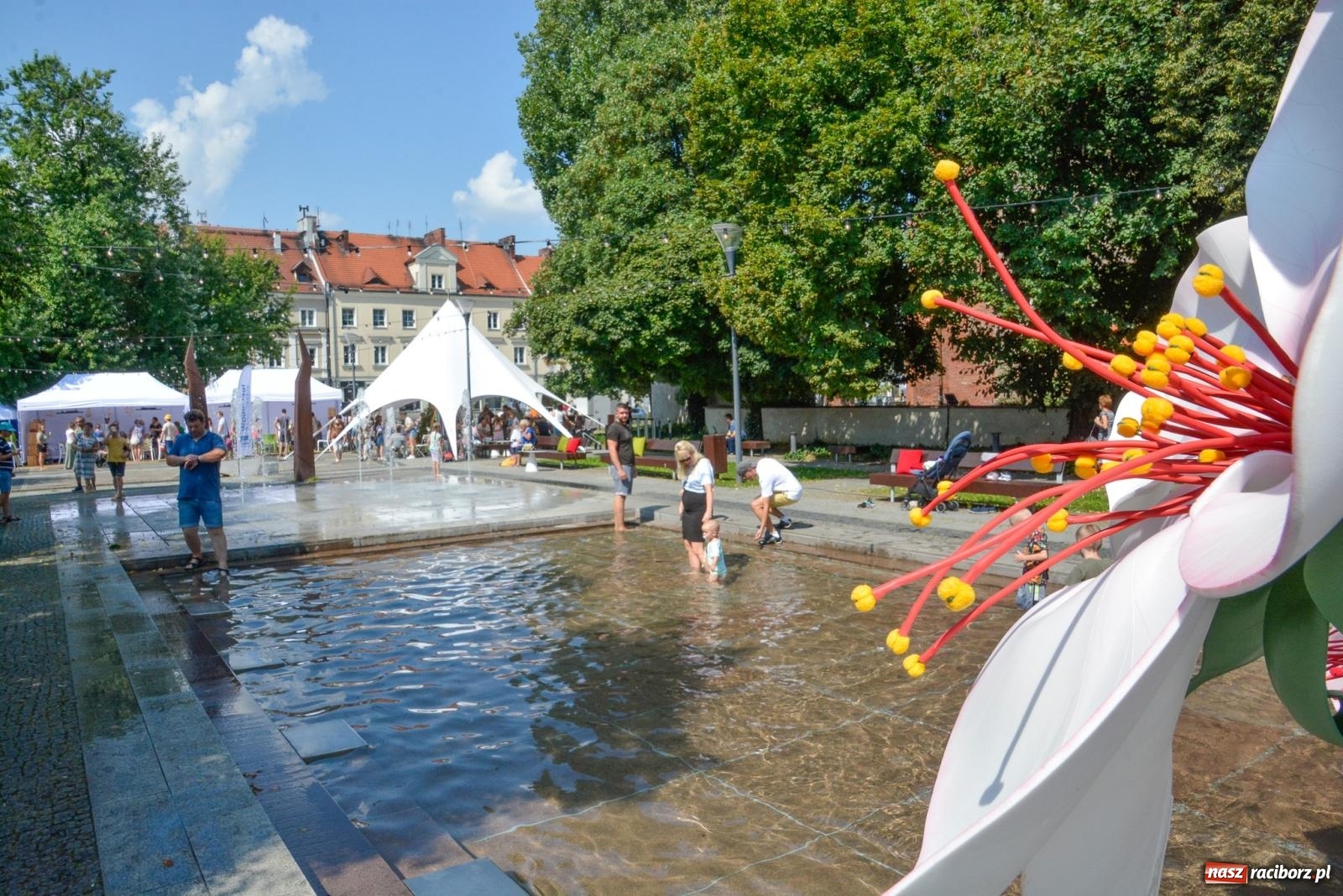 Zdjęcie w galerii na portalu naszraciborz.pl: Gramy i sadzimy. Festiwal Jabłonki Swawole w Raciborzu wiadomości z regionu