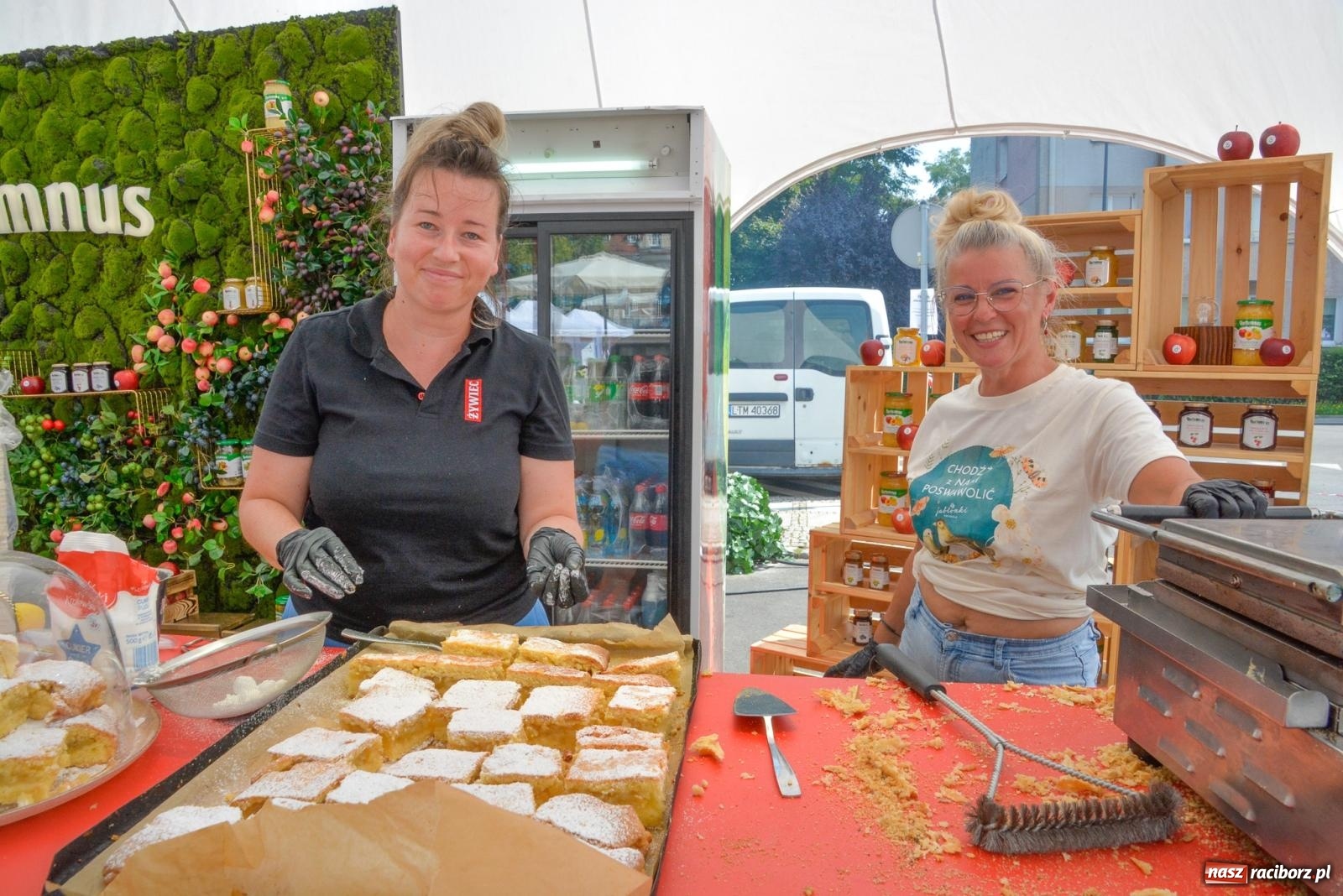 Zdjęcie w galerii na portalu naszraciborz.pl: Gramy i sadzimy. Festiwal Jabłonki Swawole w Raciborzu wiadomości z regionu