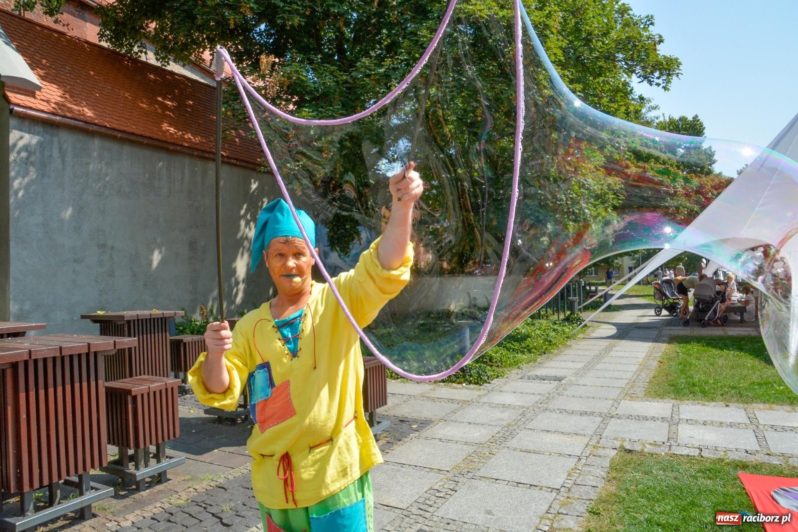 Zdjęcie w galerii na portalu naszraciborz.pl: Gramy i sadzimy. Festiwal Jabłonki Swawole w Raciborzu wiadomości z regionu