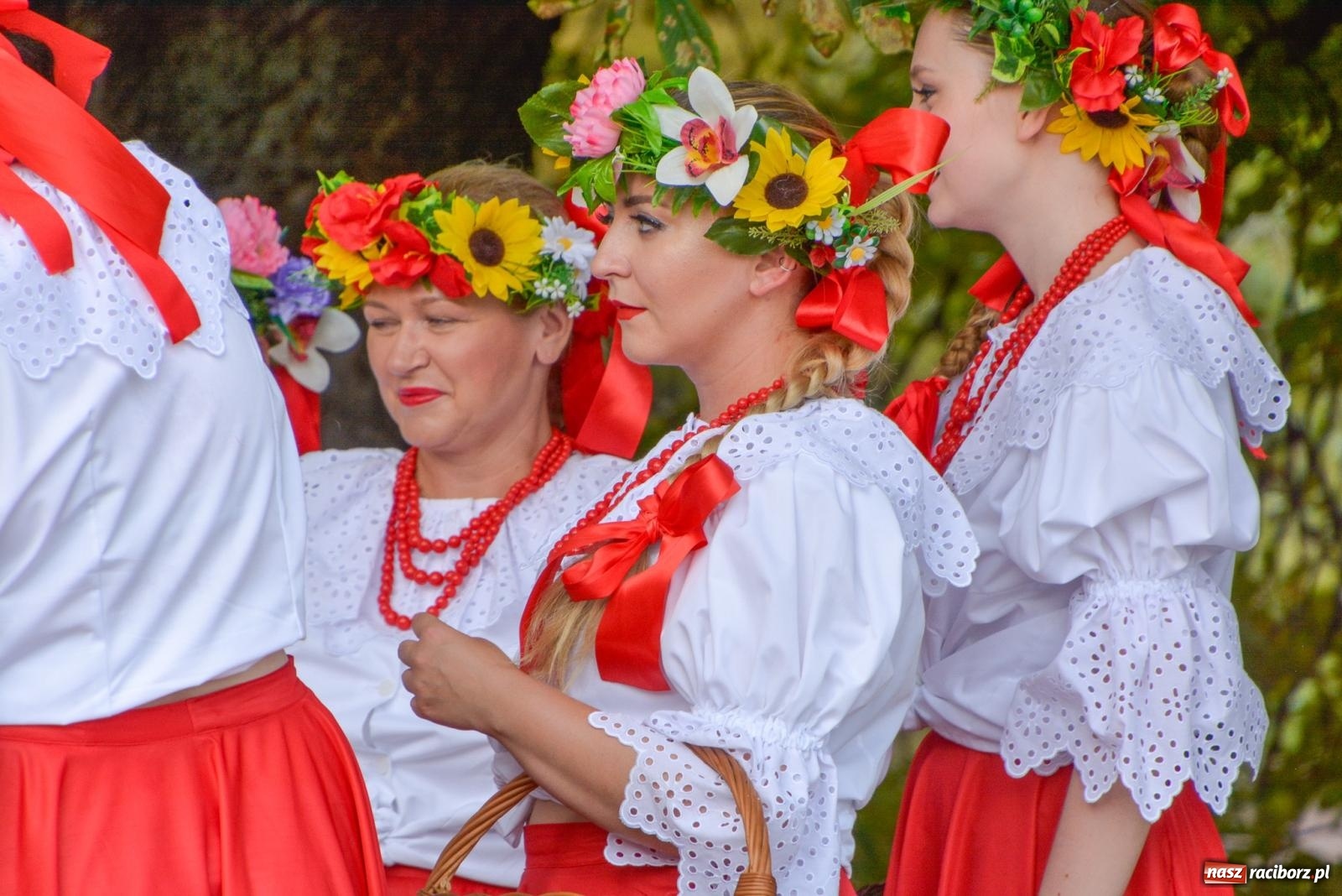 Zdjęcie w galerii na portalu naszraciborz.pl: Gramy i sadzimy. Festiwal Jabłonki Swawole w Raciborzu wiadomości z regionu