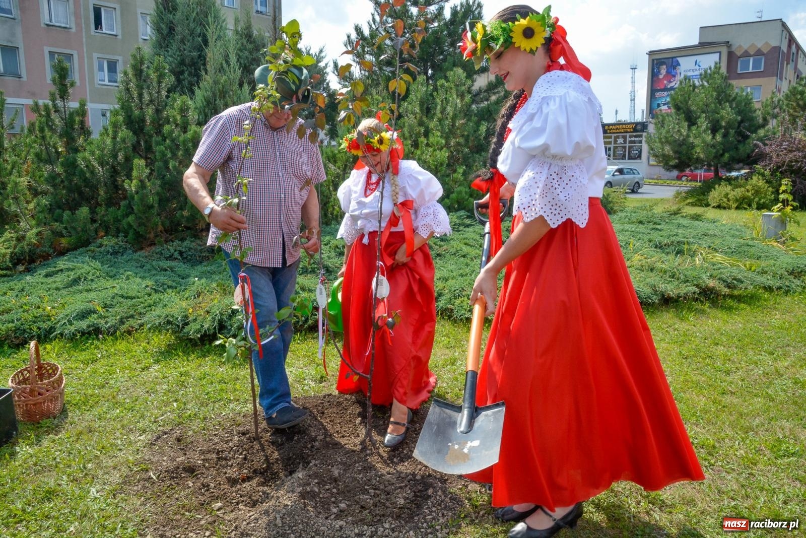 Zdjęcie w galerii na portalu naszraciborz.pl: Gramy i sadzimy. Festiwal Jabłonki Swawole w Raciborzu wiadomości z regionu
