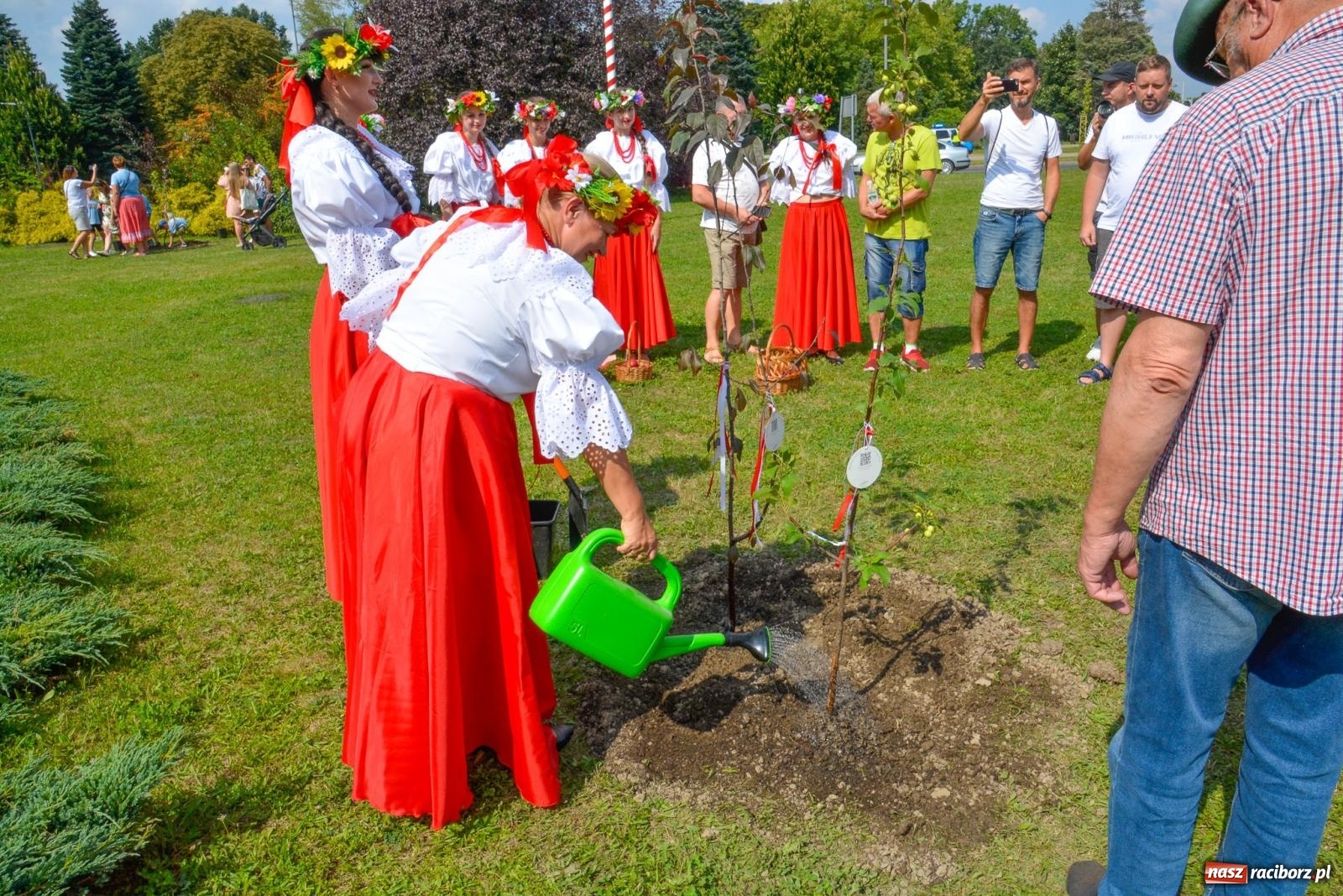 Zdjęcie w galerii na portalu naszraciborz.pl: Gramy i sadzimy. Festiwal Jabłonki Swawole w Raciborzu wiadomości z regionu