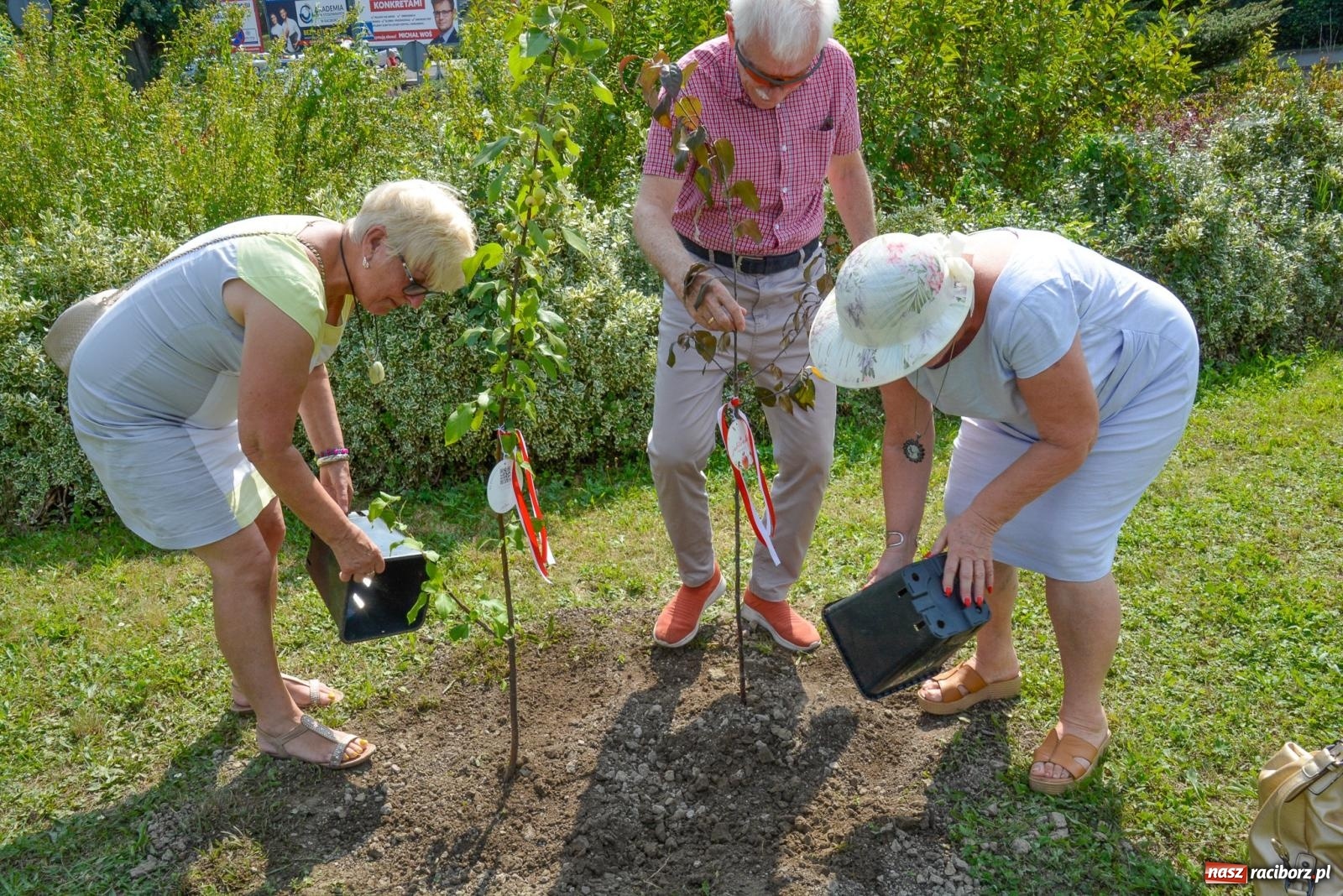 Zdjęcie w galerii na portalu naszraciborz.pl: Gramy i sadzimy. Festiwal Jabłonki Swawole w Raciborzu wiadomości z regionu