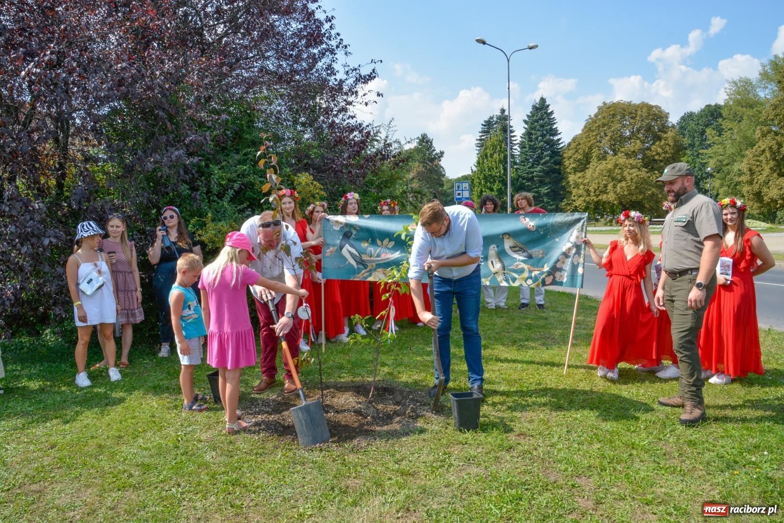Zdjęcie w galerii na portalu naszraciborz.pl: Gramy i sadzimy. Festiwal Jabłonki Swawole w Raciborzu wiadomości z regionu