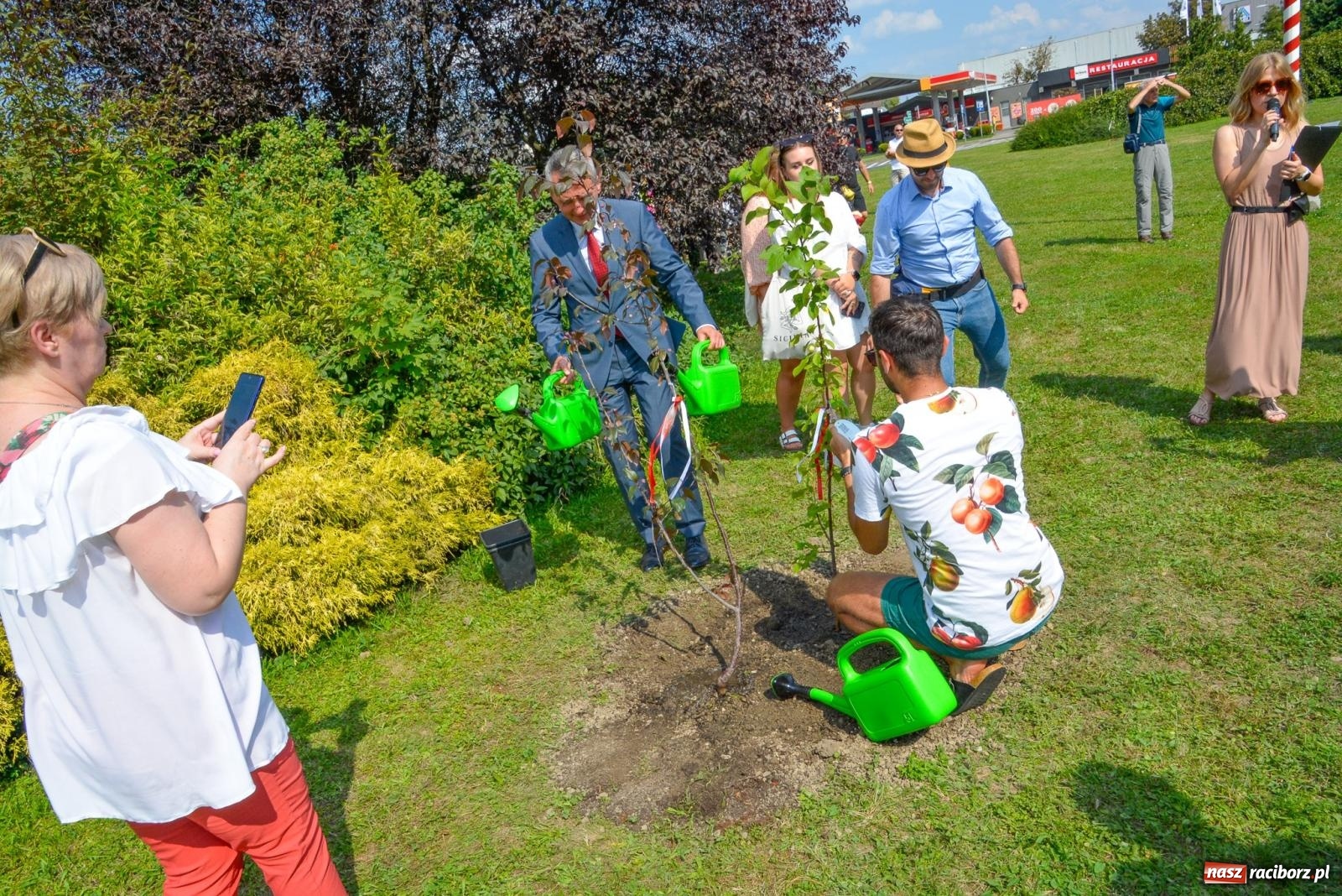 Zdjęcie w galerii na portalu naszraciborz.pl: Gramy i sadzimy. Festiwal Jabłonki Swawole w Raciborzu wiadomości z regionu